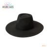 $10.5 - Teardrop Top 100% Wool Felt 100% Wool Fashion Fedora Hats With Band